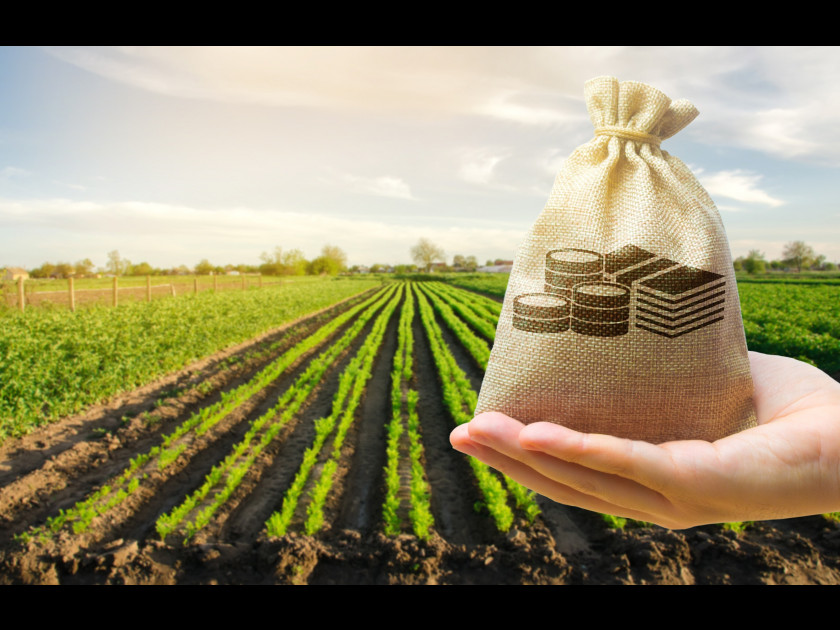 Financement dans l’agroalimentaire : de quelles aides publiques pouvez-vous bénéficier ?