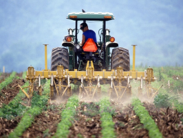 Agriculteurs : comprendre l'assurance récolte en 5 questions