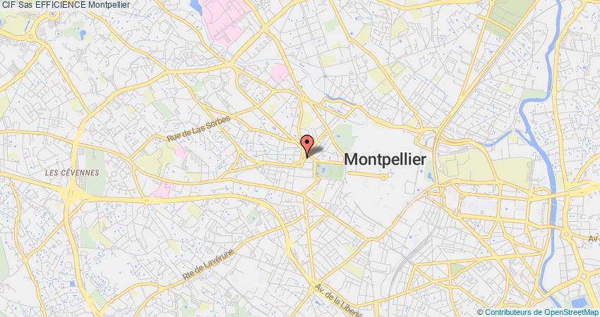 plan Sas EFFICIENCE CIF Montpellier