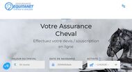 Assurance cavalier, cheval et transport équestre