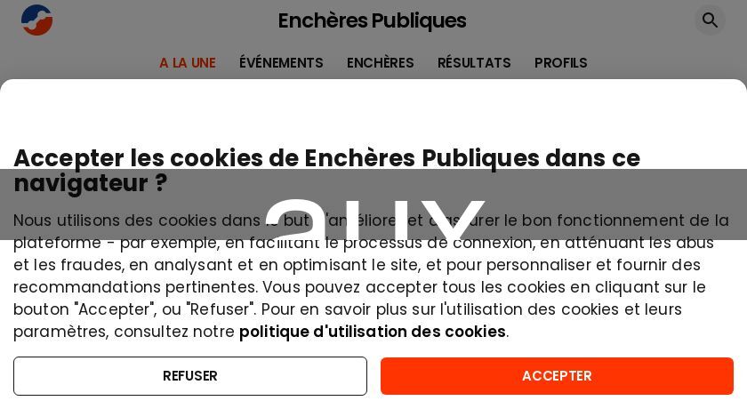 Biens immobiliers en vente aux enchères publiques